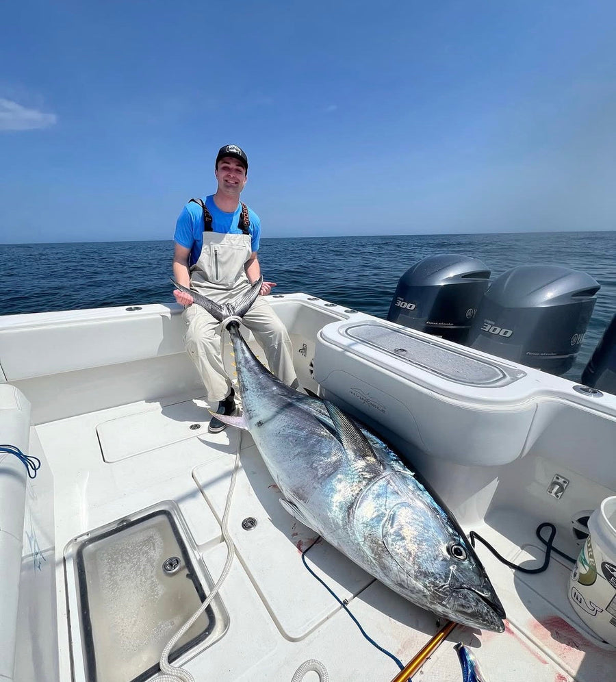 Bluefin tuna