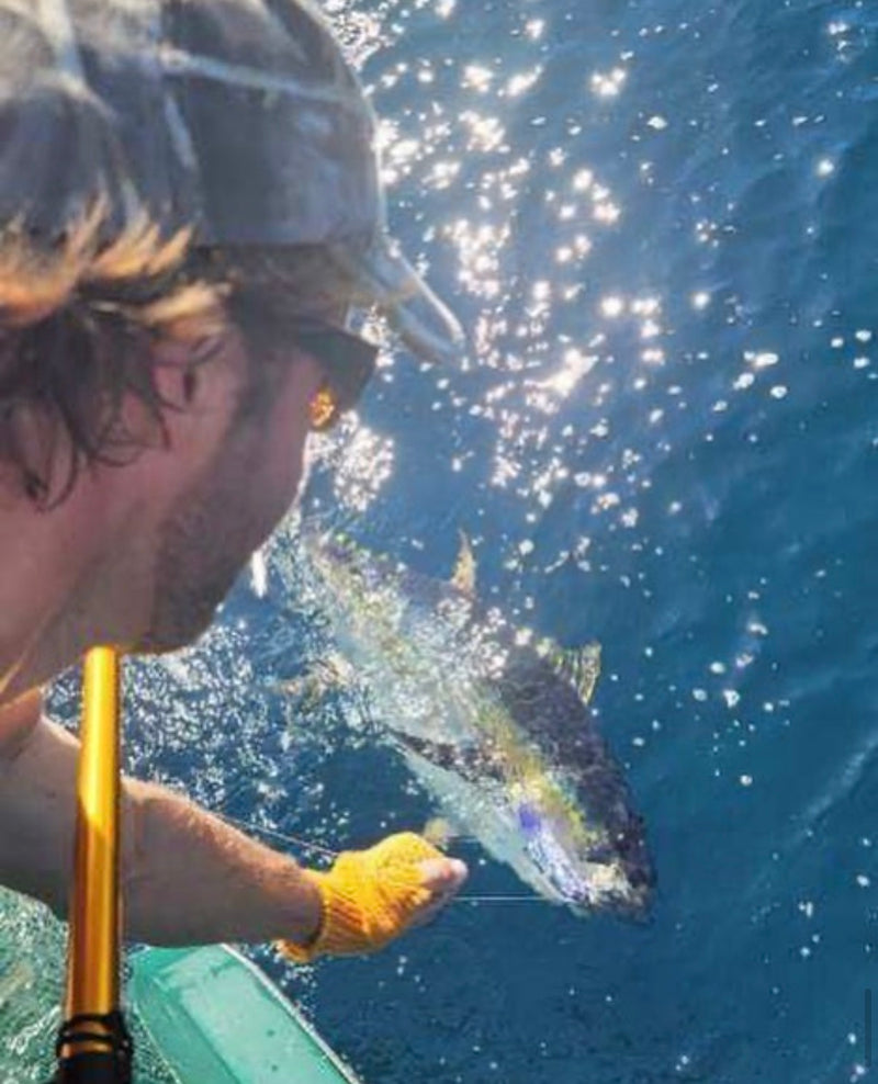 Catch on a Joe Shute lure