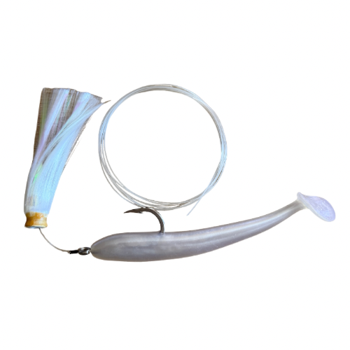 Joe Shute with Magic Ballyhoo