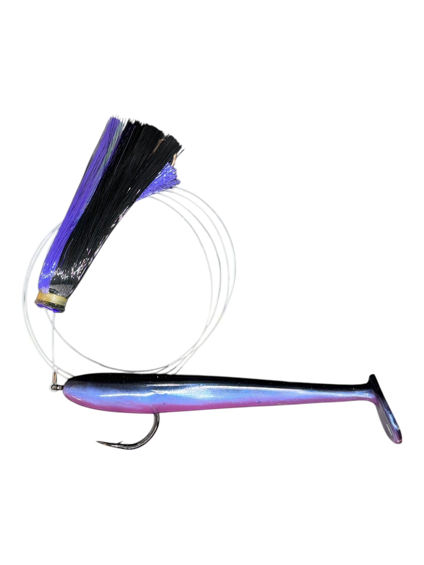 Joe Shute with Magic Ballyhoo