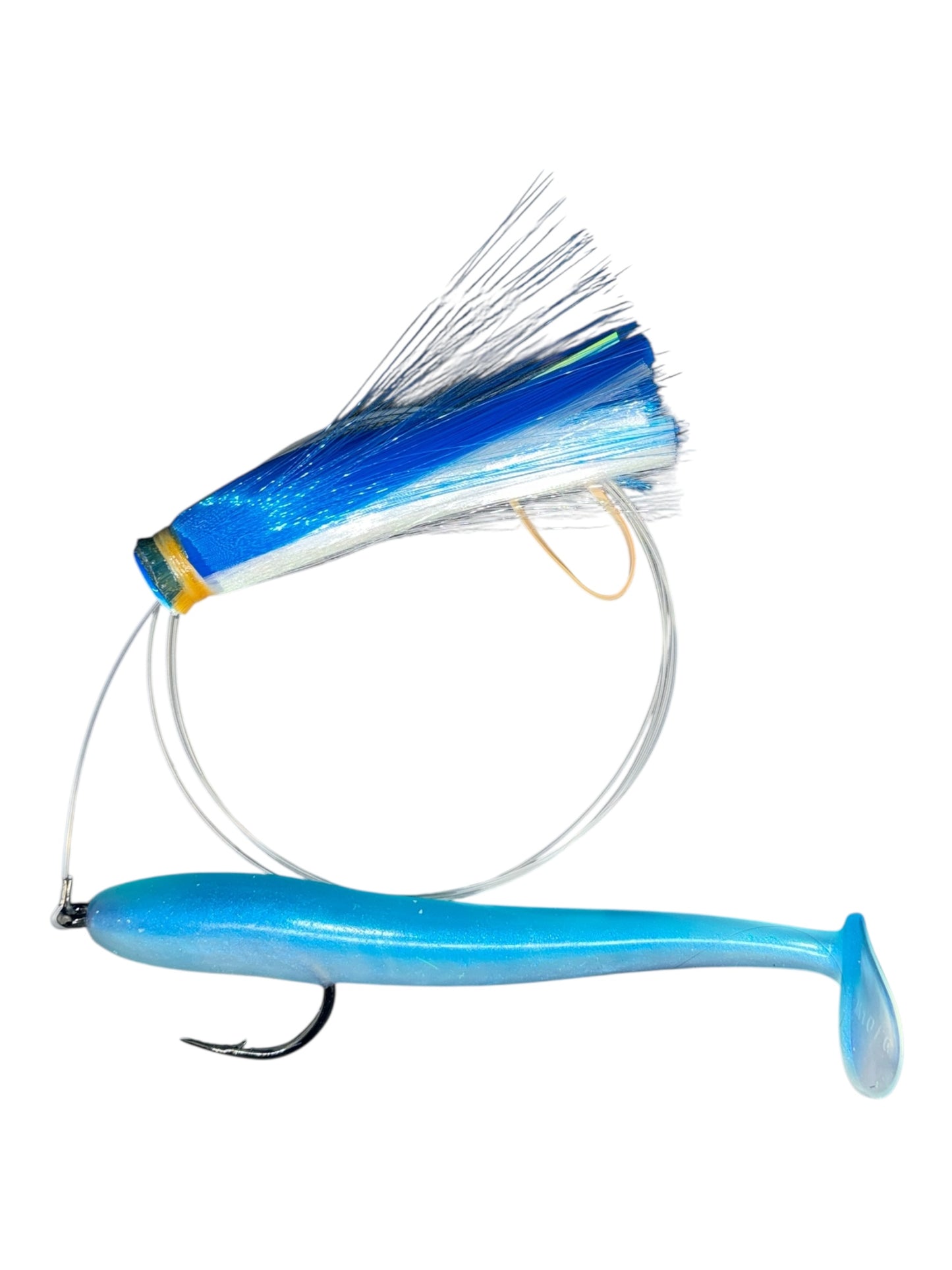 Joe Shute with Magic Ballyhoo