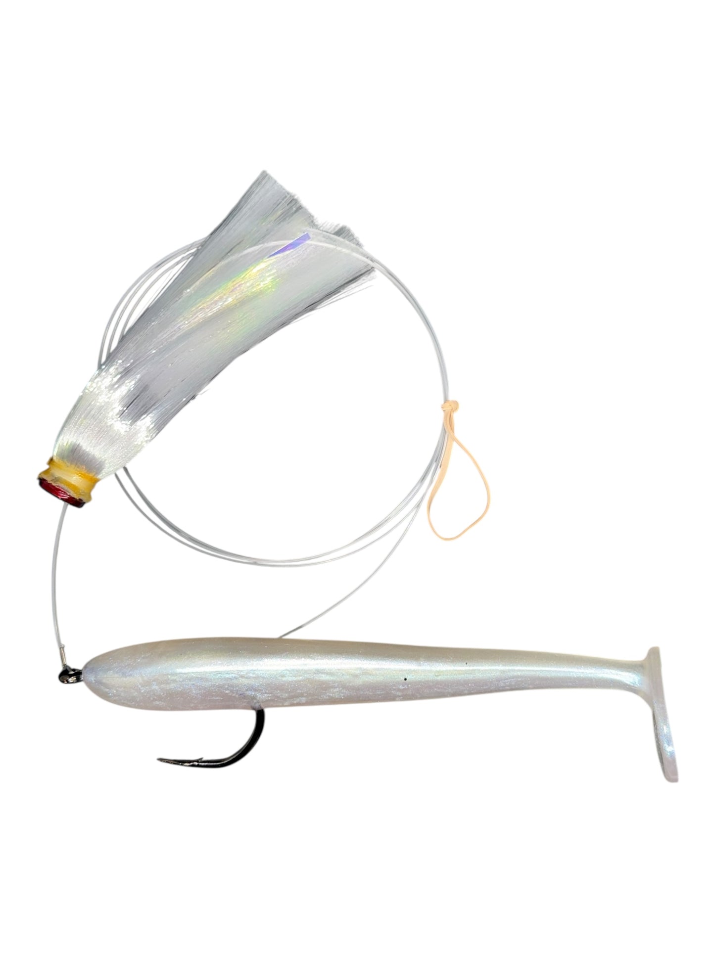 Joe Shute with Magic Ballyhoo