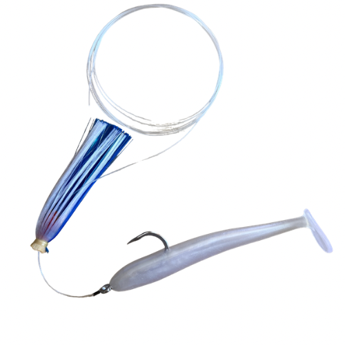 Joe Shute with Magic Ballyhoo